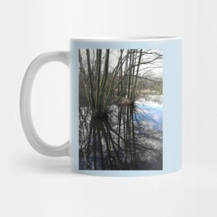 Early spring reflections photograph Mug